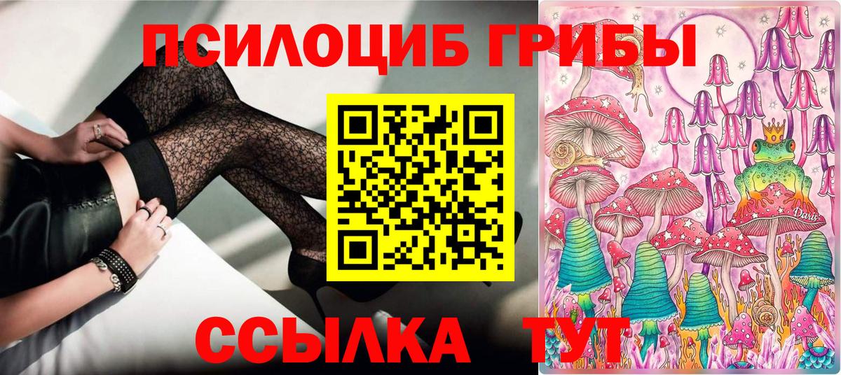 Псилоцибиновые грибы мицелий Камышлов